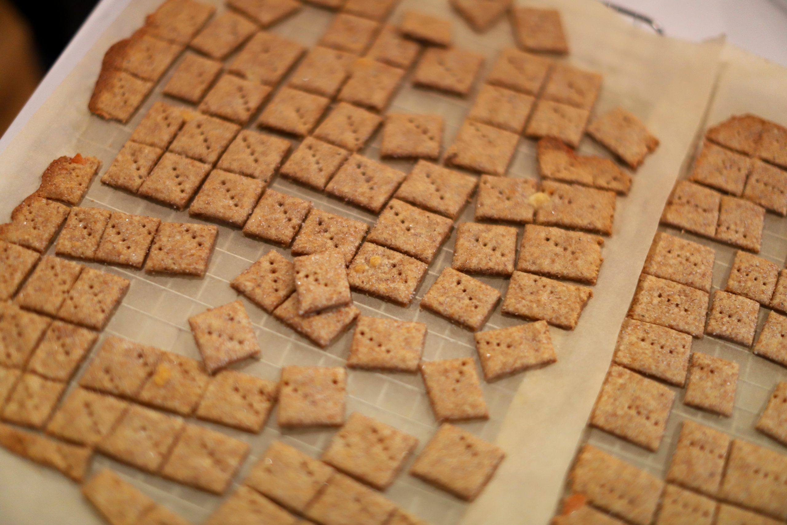 Sourdough Cheese Crackers